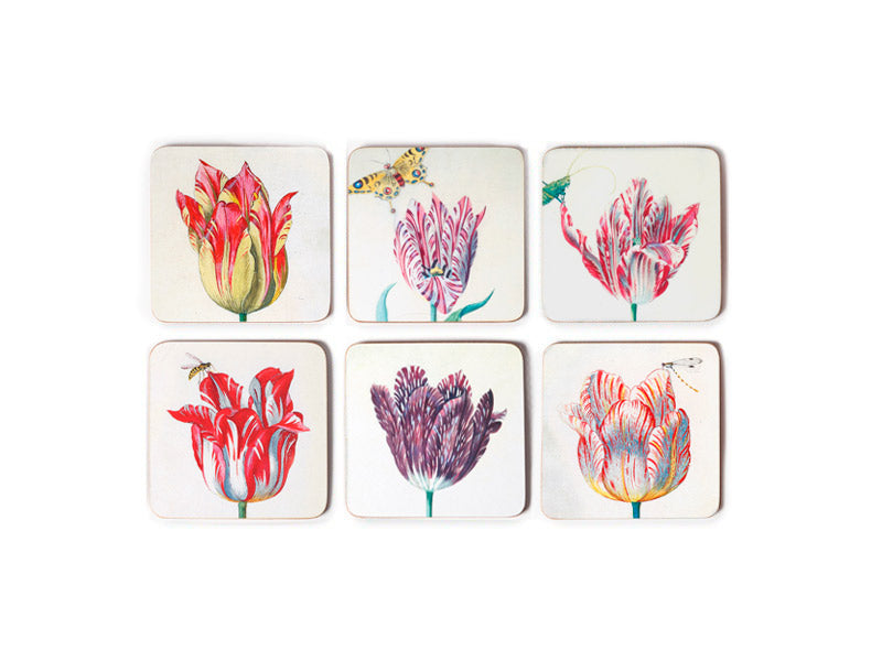 Lasinaluset, Marrel Tulips 6 kpl