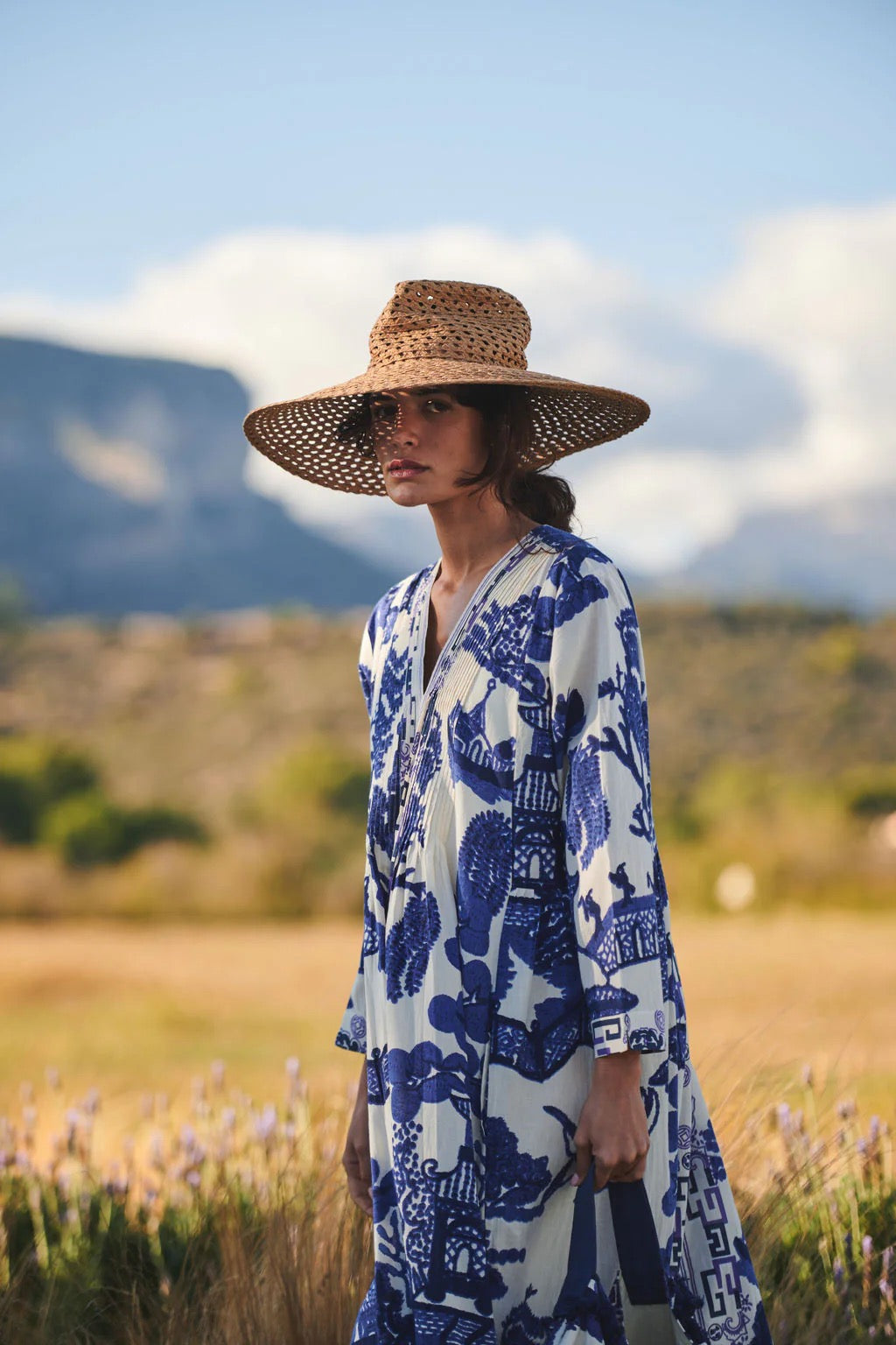 Pinch Pleat Dress, Giant Willow Blue