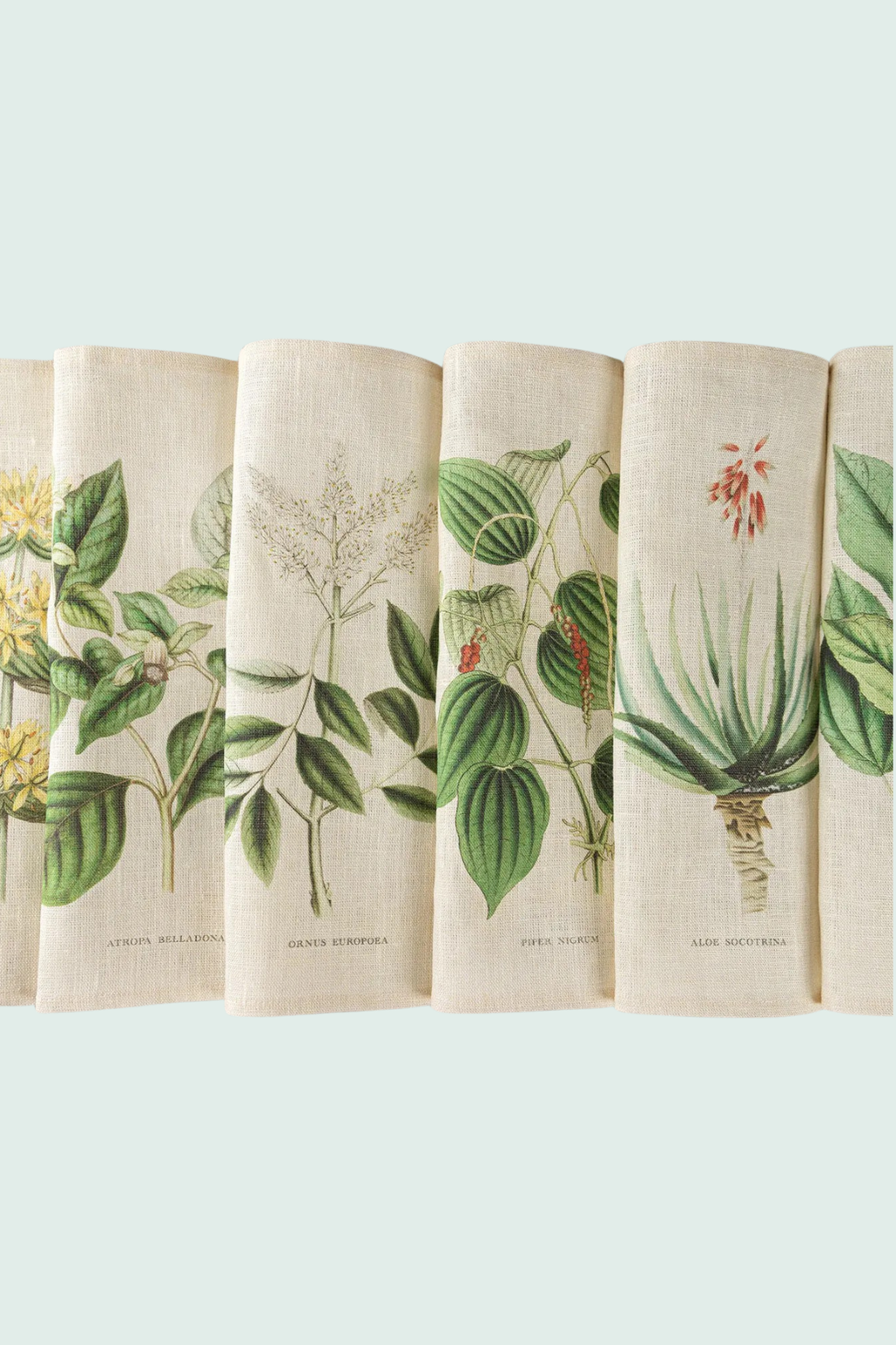 Pellavalautasliinat, Botanical  6kpl setti