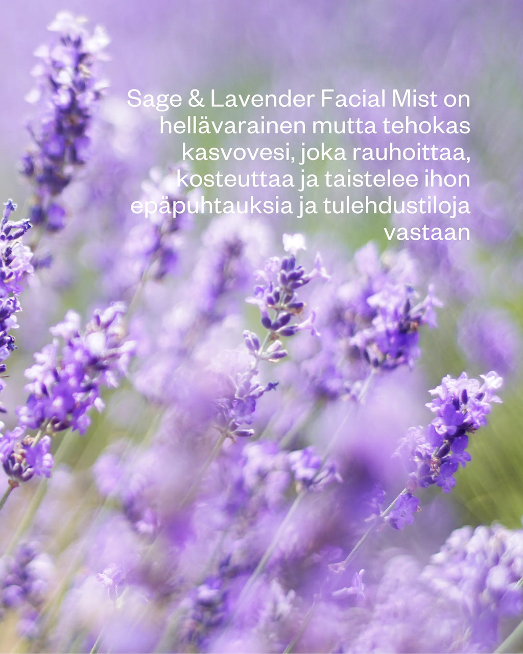 Sage & Lavender Facial Mist