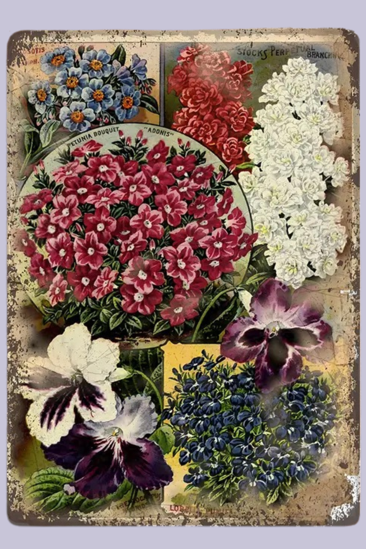 Metallikyltti, Botanical Flower