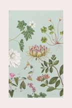 Luomupuuvillainen Keittiöpyyhe The Flora Danica Atlas